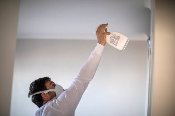 Certified Mold Removal in Kensington Park, FL
