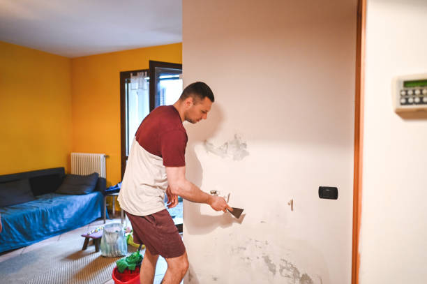 Best Residential Mold Removal  in Kensington Park, FL